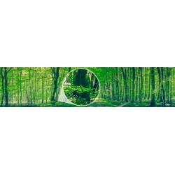 Mural panorámica de bosque